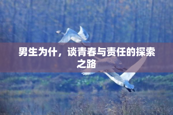 男生为什，谈青春与责任的探索之路