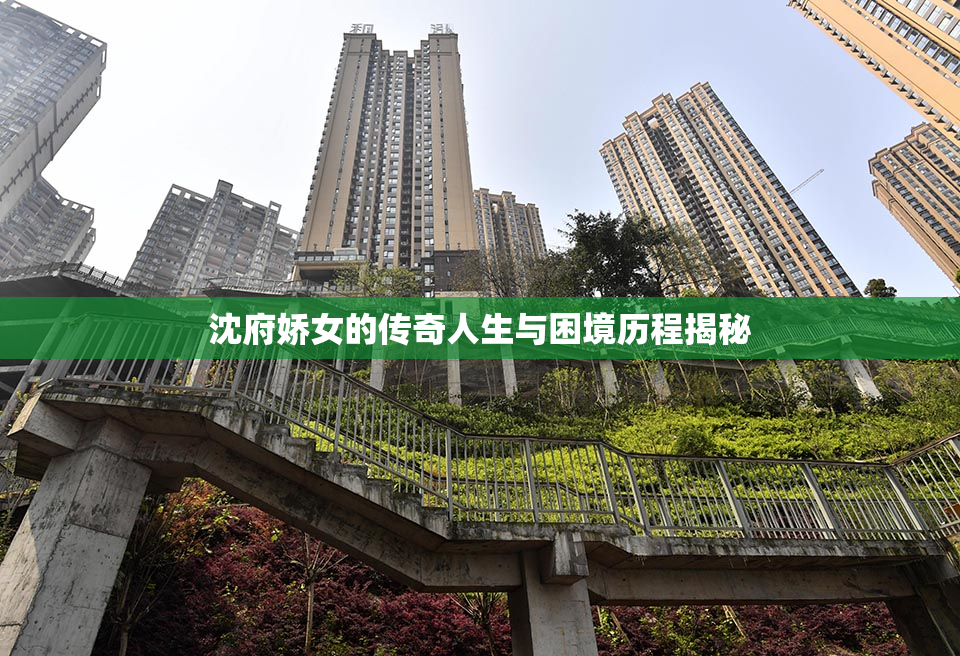 沈府娇女的传奇人生与困境历程揭秘