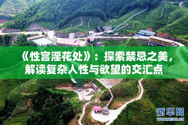 《性宫淫花处》：探索禁忌之美，解读复杂人性与欲望的交汇点