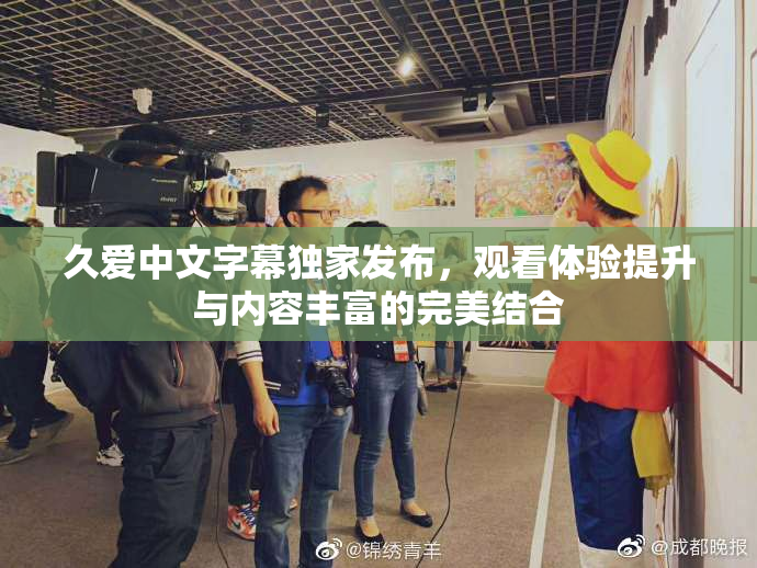 久爱中文字幕独家发布，观看体验提升与内容丰富的完美结合