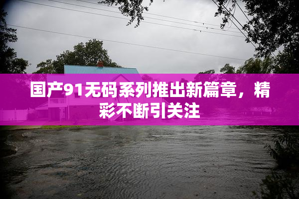 国产91无码系列推出新篇章，精彩不断引关注