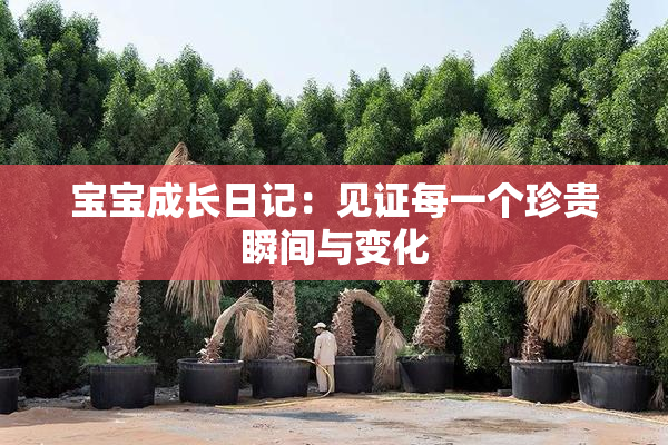 宝宝成长日记：见证每一个珍贵瞬间与变化