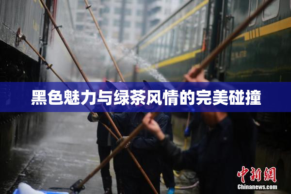 黑色魅力与绿茶风情的完美碰撞