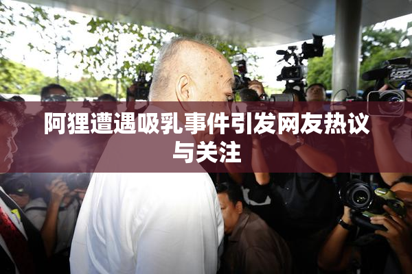 阿狸遭遇吸乳事件引发网友热议与关注