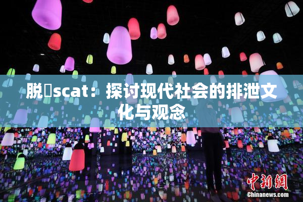 脱糞scat：探讨现代社会的排泄文化与观念