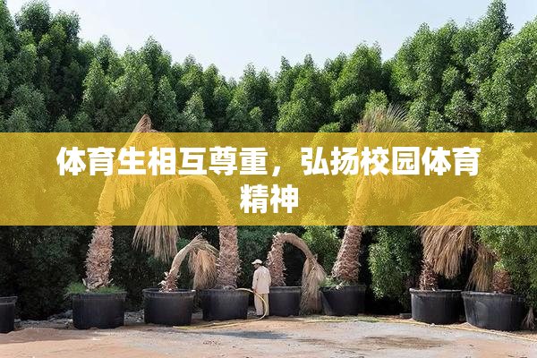 体育生相互尊重，弘扬校园体育精神
