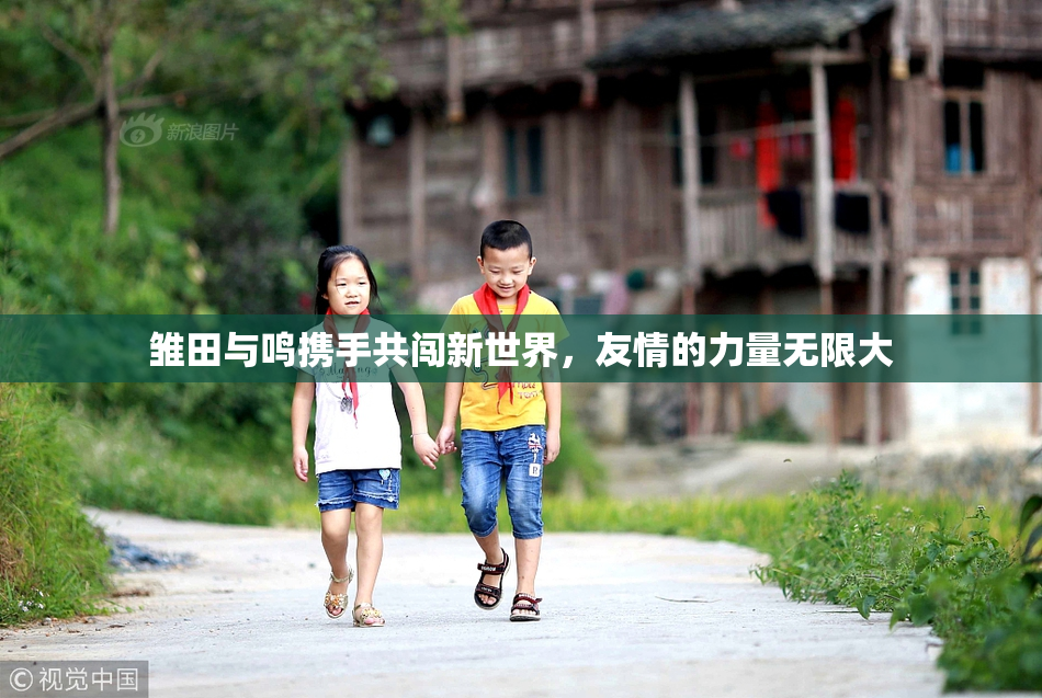 雏田与鸣携手共闯新世界，友情的力量无限大