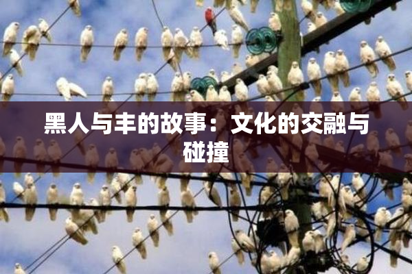 黑人与丰的故事：文化的交融与碰撞