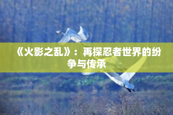 《火影之乱》：再探忍者世界的纷争与传承