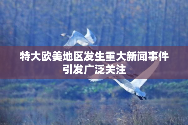 特大欧美地区发生重大新闻事件引发广泛关注