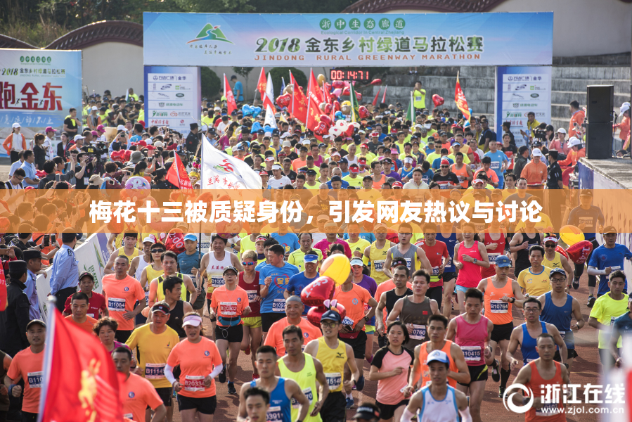 梅花十三被质疑身份，引发网友热议与讨论