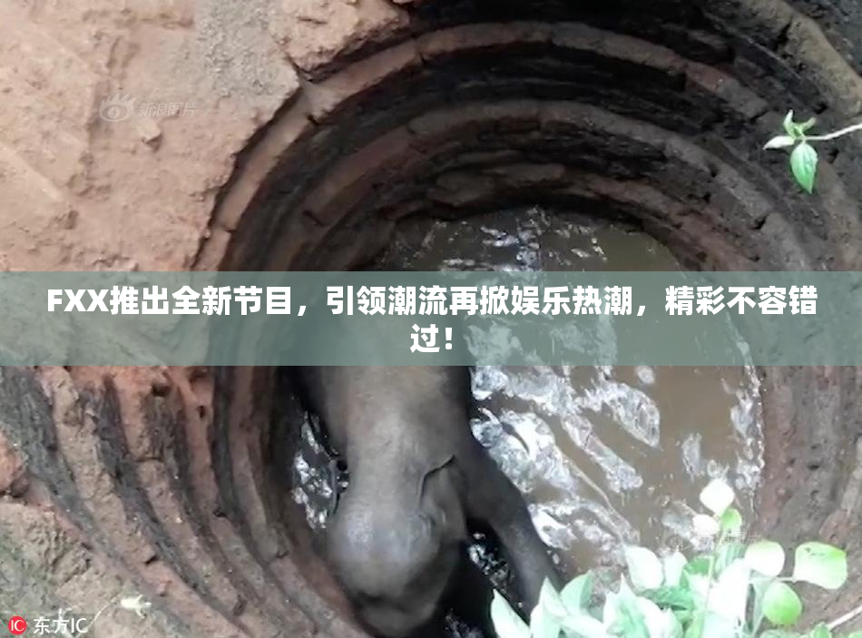 FXX推出全新节目，引领潮流再掀娱乐热潮，精彩不容错过！