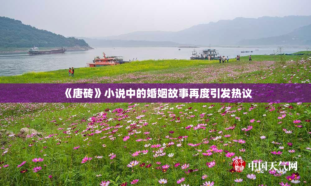《唐砖》小说中的婚姻故事再度引发热议