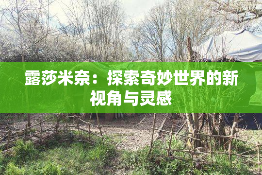 露莎米奈：探索奇妙世界的新视角与灵感