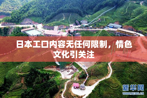 日本工口内容无任何限制，情色文化引关注