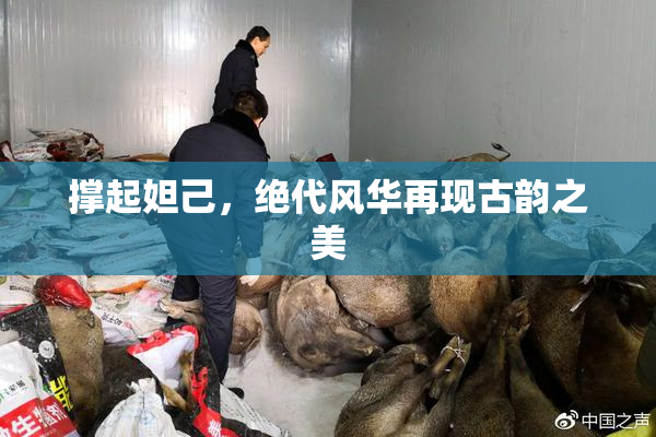 撑起妲己，绝代风华再现古韵之美