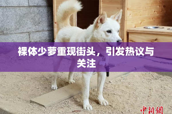 裸体少萝重现街头，引发热议与关注