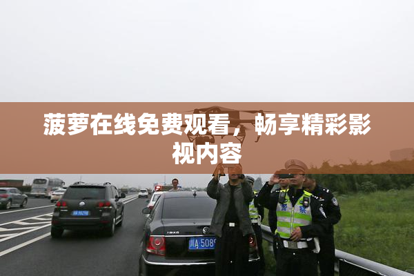菠萝在线免费观看，畅享精彩影视内容