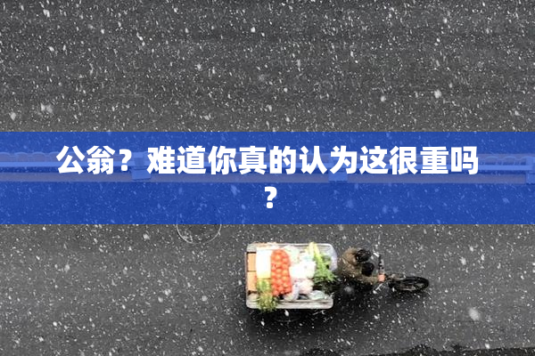 公翁？难道你真的认为这很重吗？