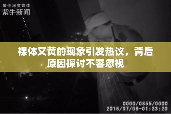 裸体又黄的现象引发热议，背后原因探讨不容忽视
