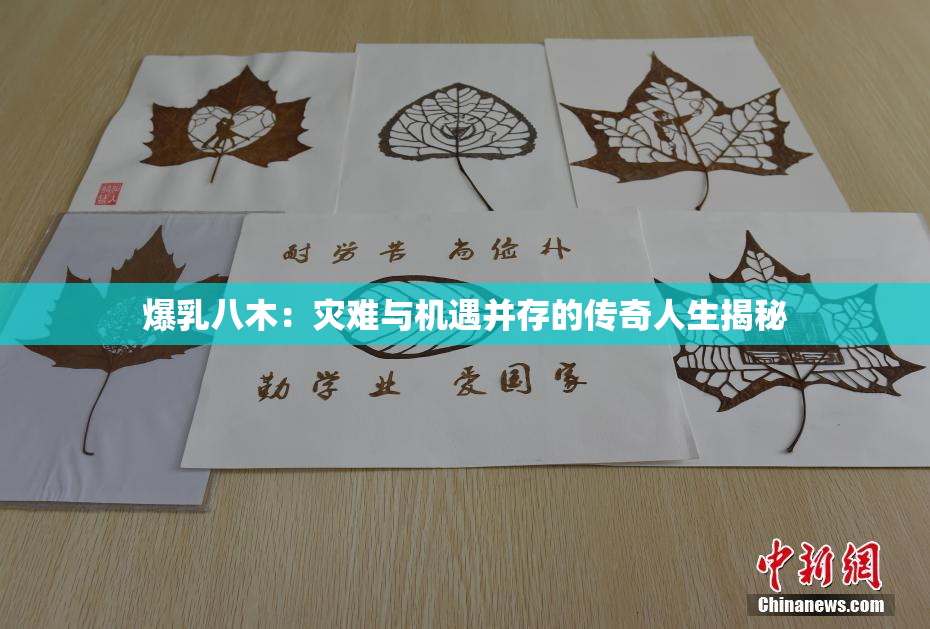 爆乳八木：灾难与机遇并存的传奇人生揭秘