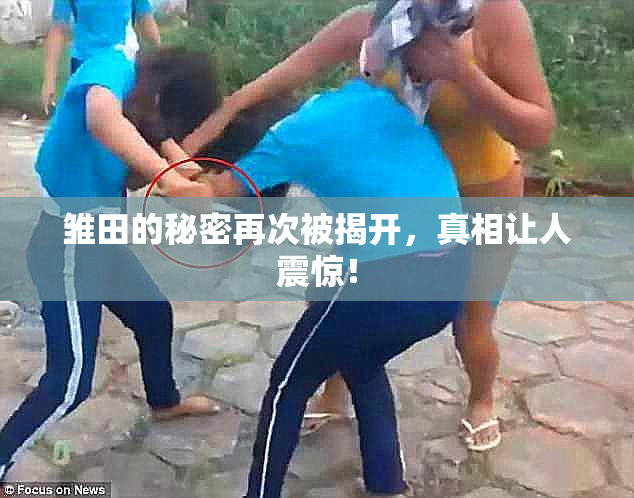 雏田的秘密再次被揭开，真相让人震惊！