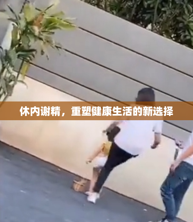 休内谢精，重塑健康生活的新选择