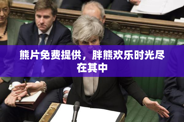 熊片免费提供，胖熊欢乐时光尽在其中