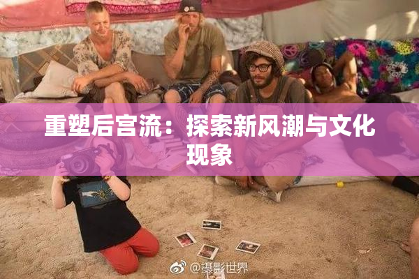 重塑后宫流：探索新风潮与文化现象
