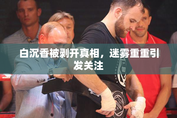 白沉香被剥开真相，迷雾重重引发关注