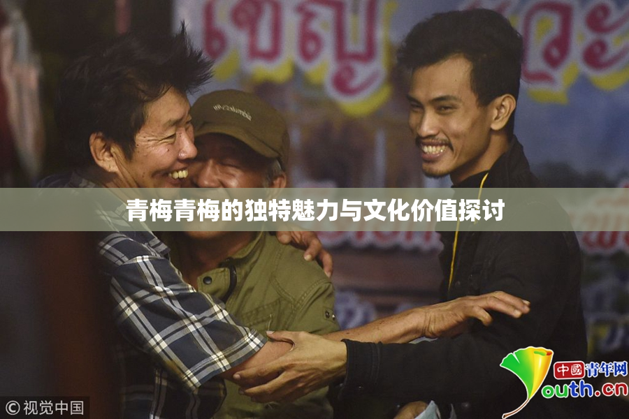青梅青梅的独特魅力与文化价值探讨