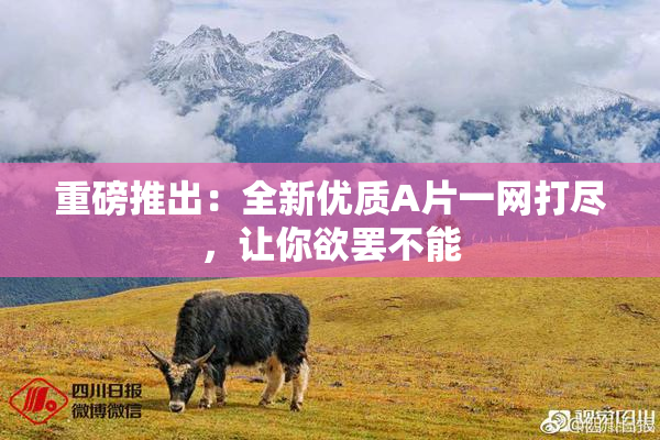重磅推出：全新优质A片一网打尽，让你欲罢不能