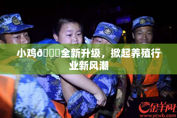 小鸡🐔全新升级，掀起养殖行业新风潮