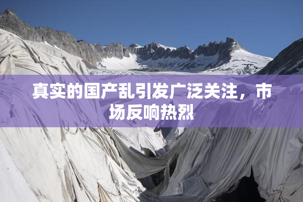 真实的国产乱引发广泛关注，市场反响热烈