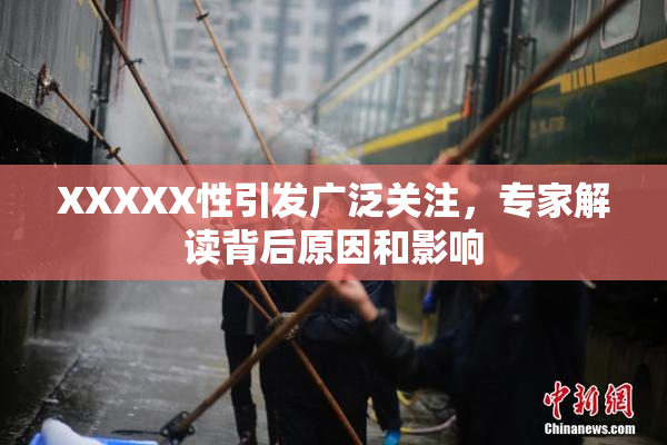 XXXXX性引发广泛关注，专家解读背后原因和影响