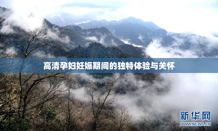 高清孕妇妊娠期间的独特体验与关怀