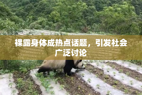 裸露身体成热点话题，引发社会广泛讨论