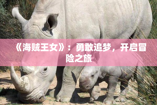 《海贼王女》：勇敢追梦，开启冒险之旅