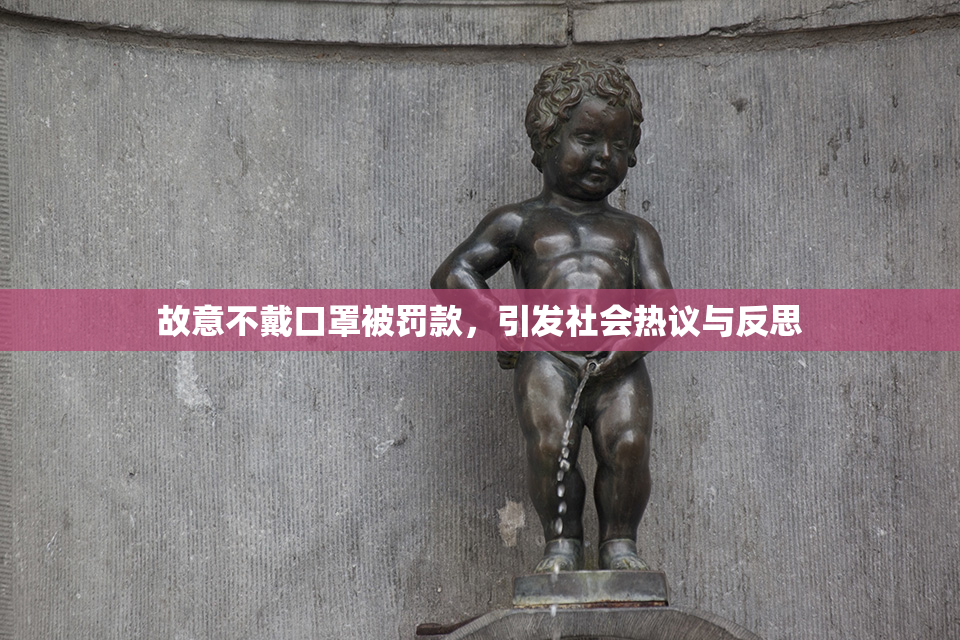 故意不戴口罩被罚款，引发社会热议与反思