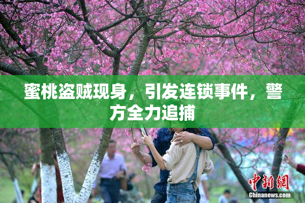 蜜桃盗贼现身，引发连锁事件，警方全力追捕