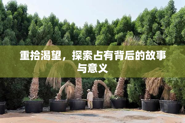 重拾渴望，探索占有背后的故事与意义