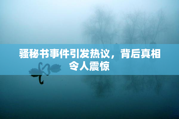 骚秘书事件引发热议，背后真相令人震惊