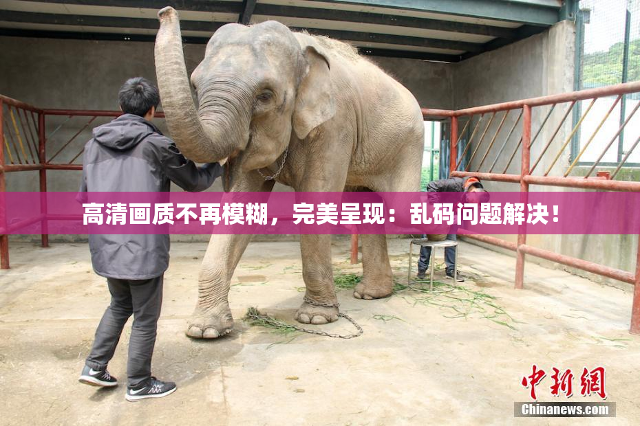高清画质不再模糊，完美呈现：乱码问题解决！