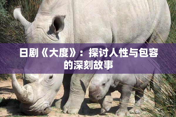 日剧《大度》：探讨人性与包容的深刻故事