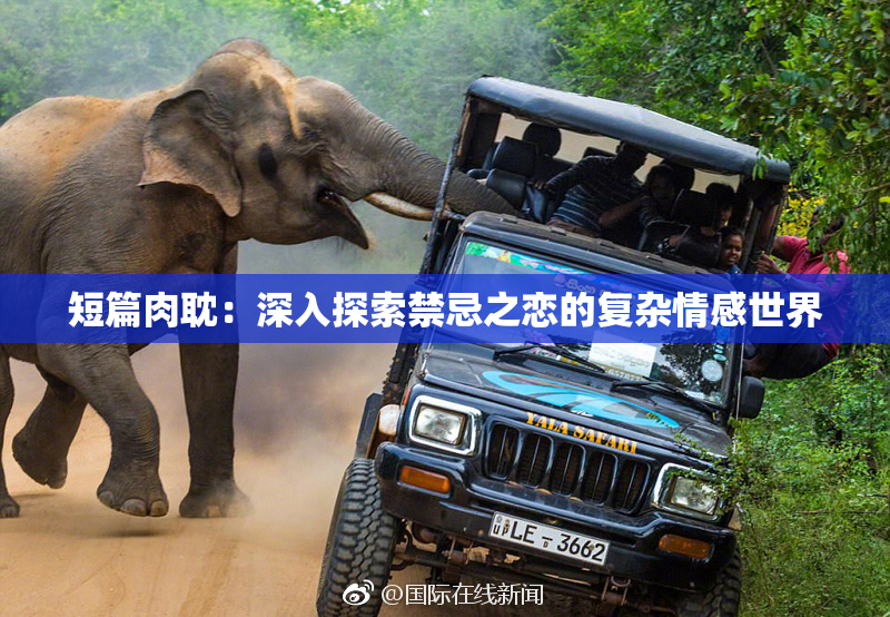 短篇肉耽：深入探索禁忌之恋的复杂情感世界