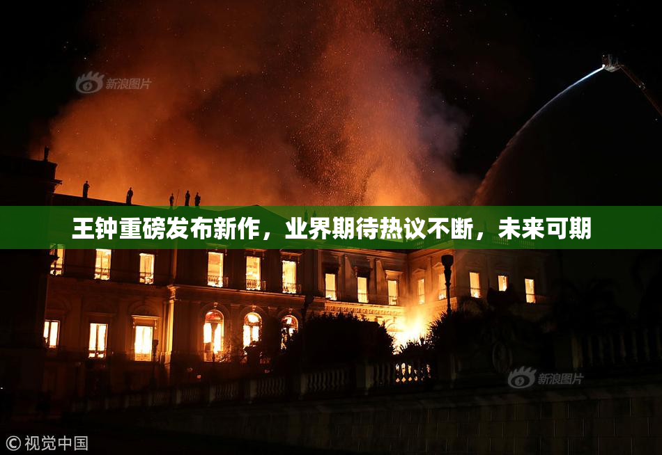 王钟重磅发布新作，业界期待热议不断，未来可期