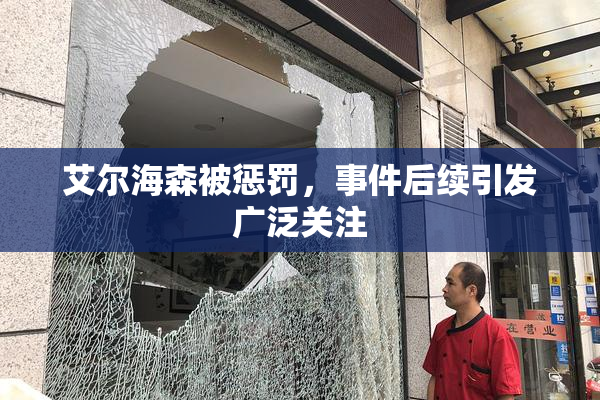 艾尔海森被惩罚，事件后续引发广泛关注