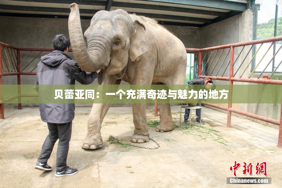 贝蕾亚同：一个充满奇迹与魅力的地方