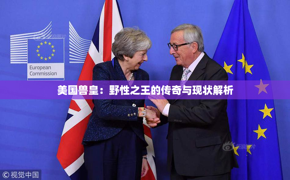 美国兽皇：野性之王的传奇与现状解析