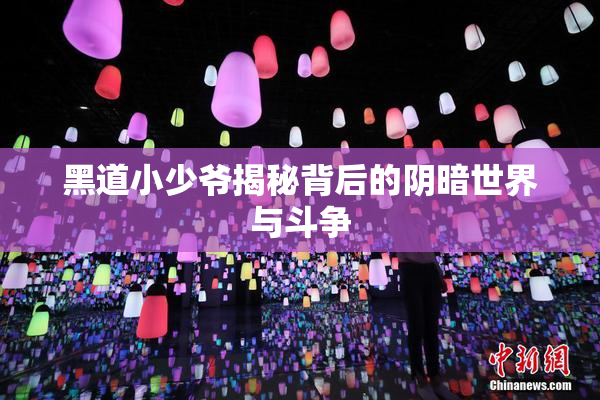黑道小少爷揭秘背后的阴暗世界与斗争
